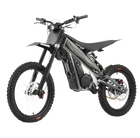Budget Electric Bikes (Limited Supply)
