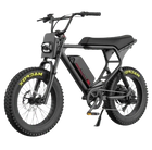 Budget Electric Bikes (Limited Supply)
